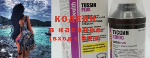 сатива Ельня