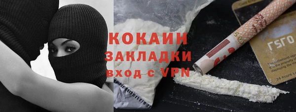 дмт Заводоуковск