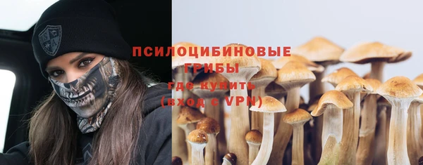 дмт Заводоуковск