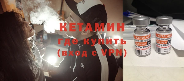 сатива Ельня