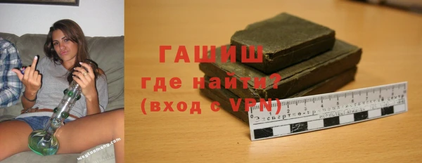 сатива Ельня