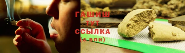 сатива Ельня