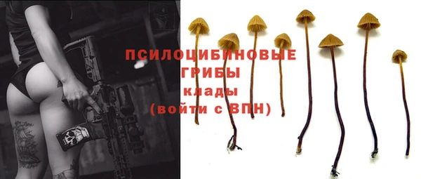 дмт Заводоуковск