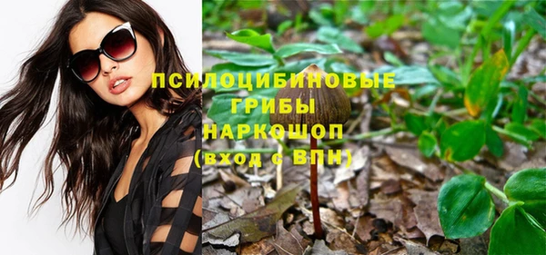 a pvp Елабуга