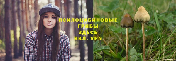 сатива Ельня