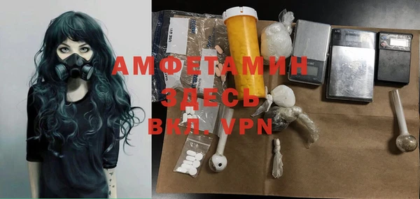 сатива Ельня